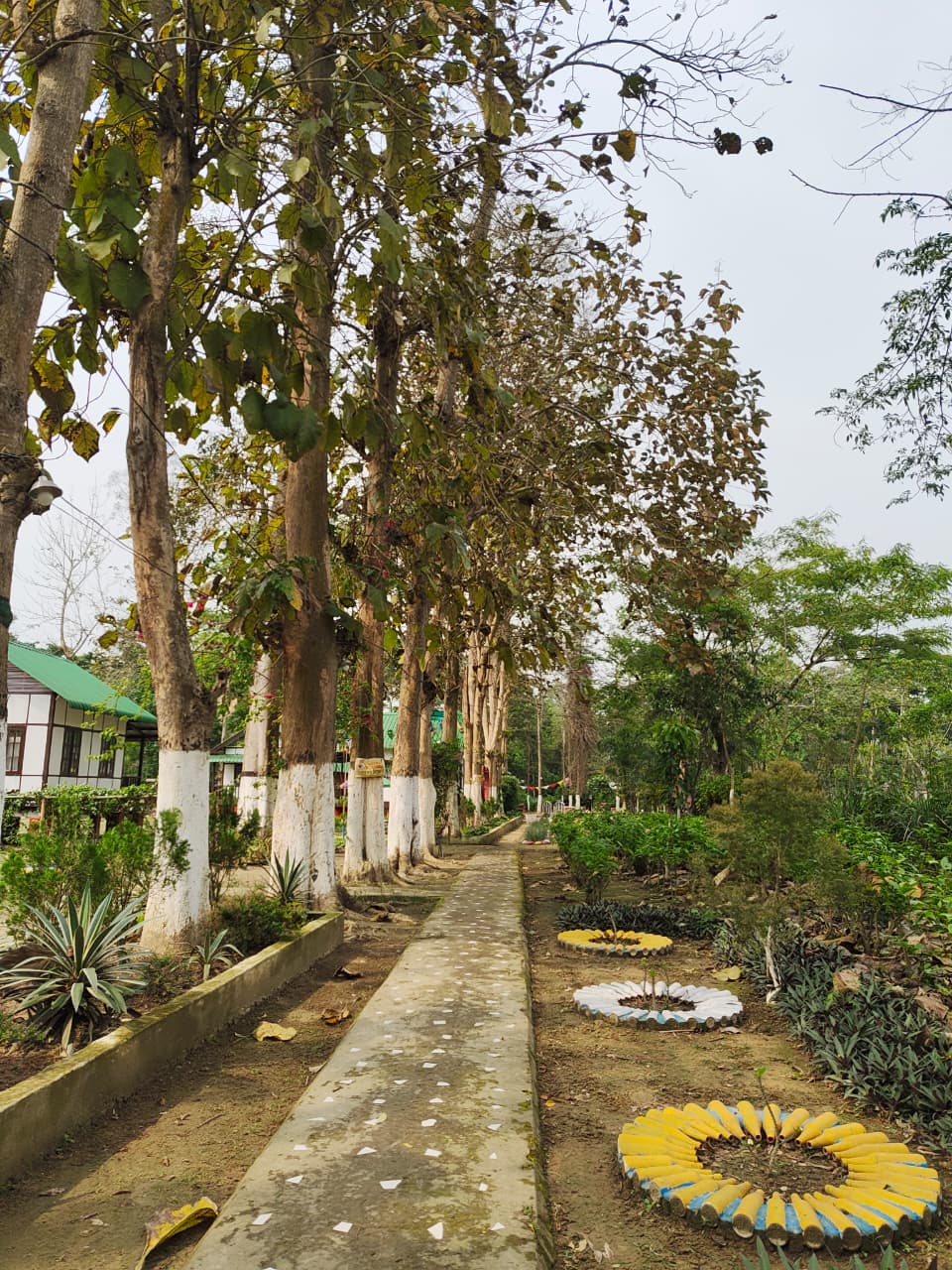 Bahani Estate 12